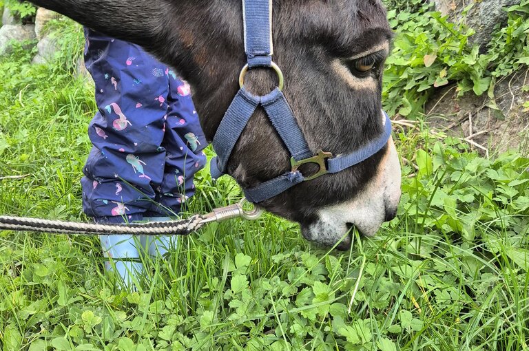 Tiere lieb haben Tiere lieb haben