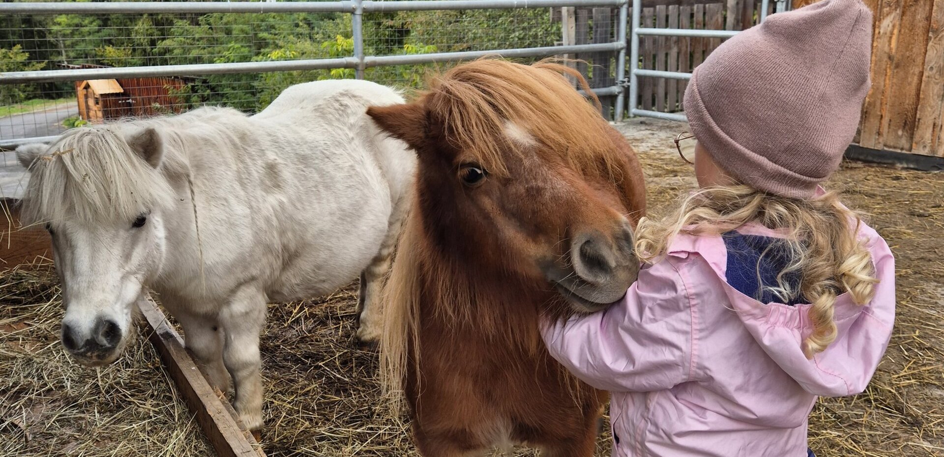 Kinder erleben am Ierzerhof Tiere hautnah Erlebnis Bauernhof Kinder erleben am Ierzerhof Tiere hautnah Erlebnis Bauernhof