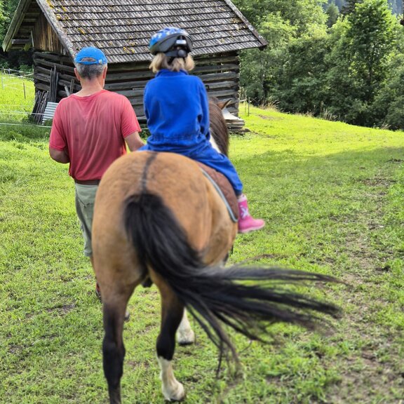 Einmal in der Woche Ponyreiten am Ierzerhof Ponyreiten